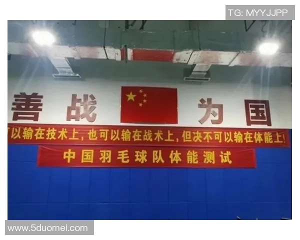 上海羽毛球队整体压制的深度解析与战术揭秘 上海羽毛球队整体压制的深度解析与战术揭秘